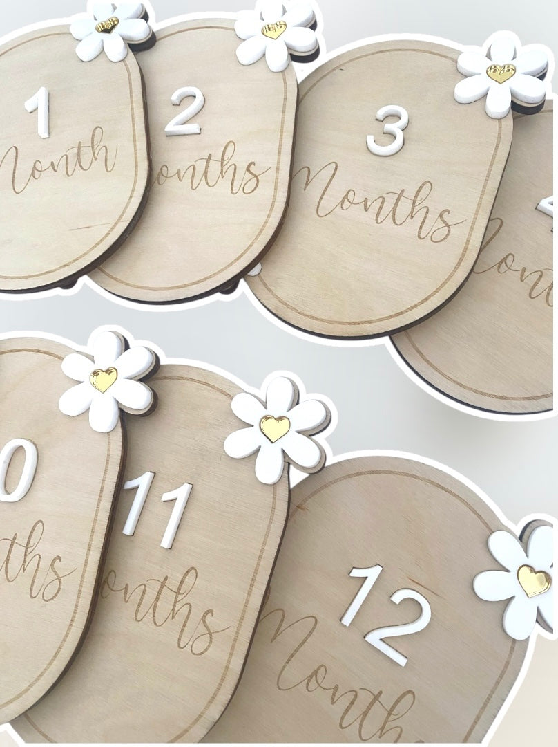 Monthly Baby Milestone Discs